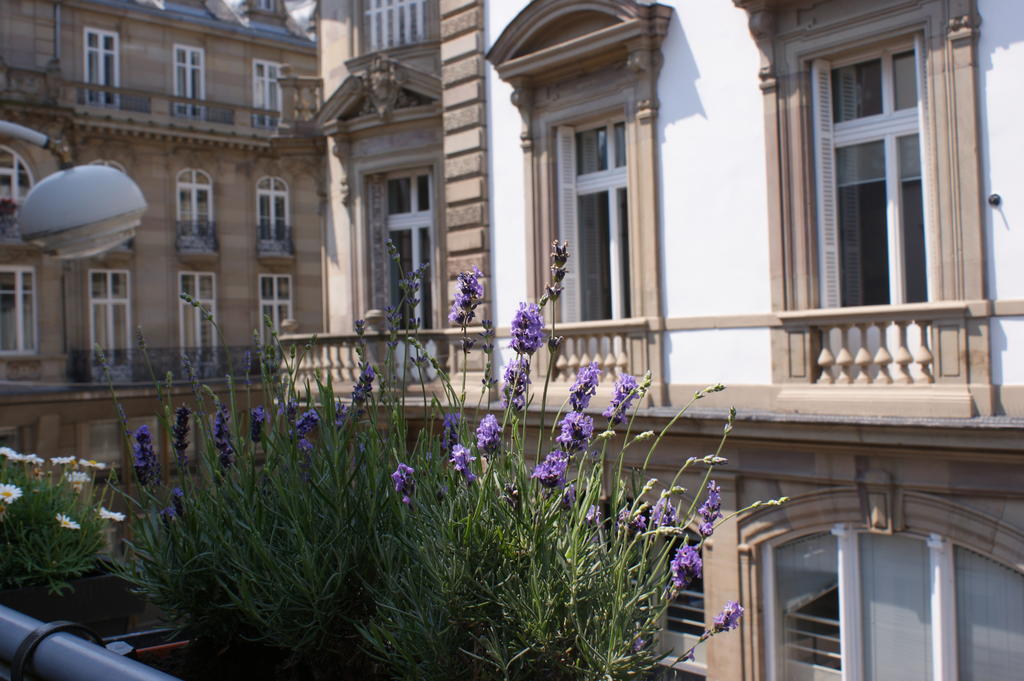 Studio De L'Hotel De Ville Štrasburk Exteriér fotografie